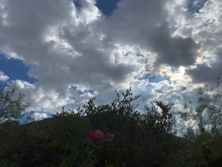 Nov 18 - View from my tables at Hidden in the Hills - Looks like rain!